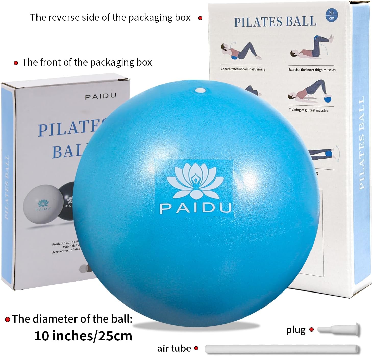 PAIDU Pilates Ball 10-inch Core, Anti-Explosion and Anti-Slip Mini Yoga Balls, Suitable for Pilates, Yoga, Core Training, Physical Therapy, Balance, Stability, Stretching Exercises